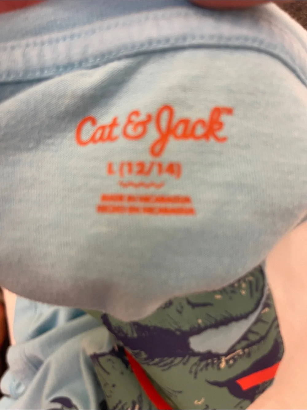 Cat & Jack Light Blue Dinosaur Graphic Tee with Orange Hoop Size L (12/14)
